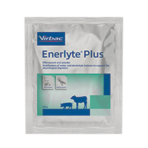 ENERLYTE PLUS, reidratante efervescente, energético, rico em electrólitos
